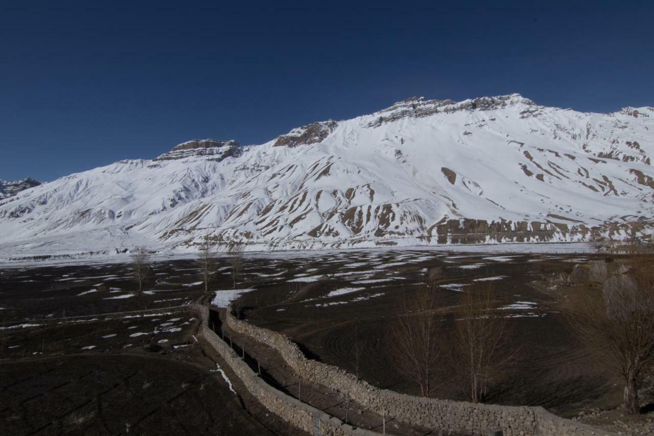 The Alpinist Cafe And Retreat Hotel Kaza Eksteriør billede